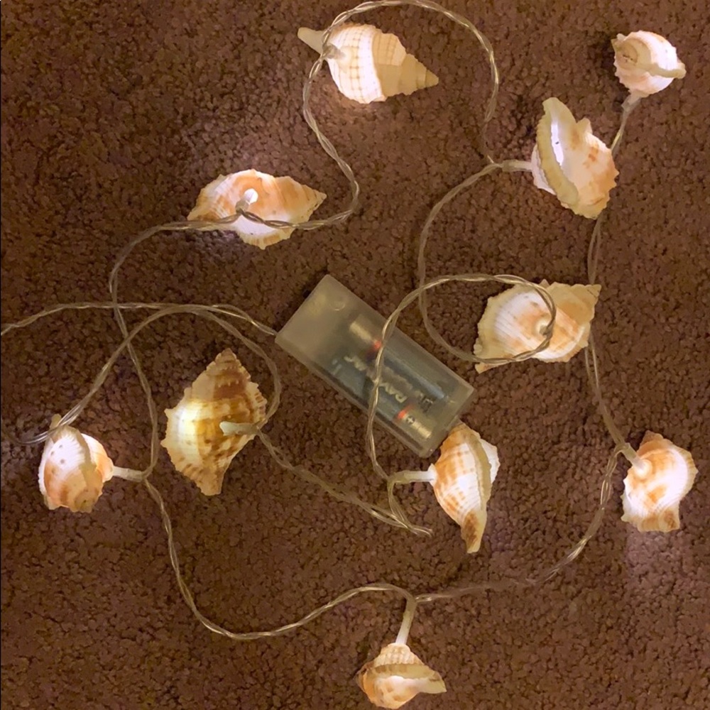 Shell 🐚 String Lights - Picture 3 of 3